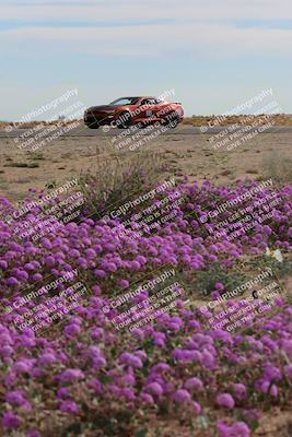 media/Jan-08-2023-SCCA SD (Sun) [[8f6a5b9391]]/Advanced Group/Session 2 (Short Straight)/